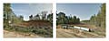 Farm to Market 1252, Winona, Texas.  180&deg; Diptych.  Keystone XL Pipeline construction corridor.  Google Street View 2013.