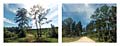 Farm to Market 942, Corrigan, Texas.  180&deg; Diptych.  Keystone XL Pipeline construction corridor.  Google Street View 2013.