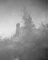 fine art painting infrared photography