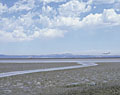 Wetland and San Francisco International Airport. Milbrae, California.