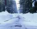Plowed Street.  Lake Tahoe, California.
