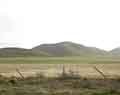 Organic pasture. Point Reyes National Seashore. California.