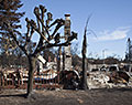 Coffey Park neighborhood. Tubbs Fire aftermath. Santa Rosa, California.