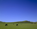 american landscape photography