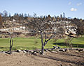 Fountaingrove Golf and Athletic Club. St. Andrews Dr. Tubbs Fire aftermath. Santa Rosa, California.