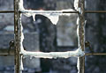 Burnt window. Mountain Blvd. Oakland Firestorm.  Oakland California 1992