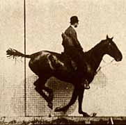 Eadweard Muybridge. Animal Locomotion, plate 640. Daisy jumping a hurdle, saddled, 1887 &copy;California Historical Society
