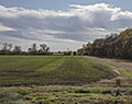 Cultivated field on Rte 15. Keystone Pipeline route. Udall, Kansas