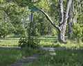 Wheatfield and 102nd. Love Canal. Niagara, NY