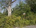 Dumping Prohibited. 100th and Wheatfield. Love Canal. Niagara Falls, NY