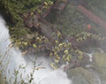 Cave of the Winds, Luna Island. Niagara Falls State Park. Niagara Falls, NY