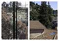 Swainland Rd.. Rephotography of the Oakland Firestorm after 28 years. Oakland California 1991/2019.