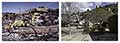 Rephotography of the Oakland Firestorm after 28 years. Oakland California 1991/2019.