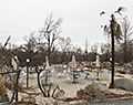 Cafe. Aftermath of Camp Fire. Paradise, California.